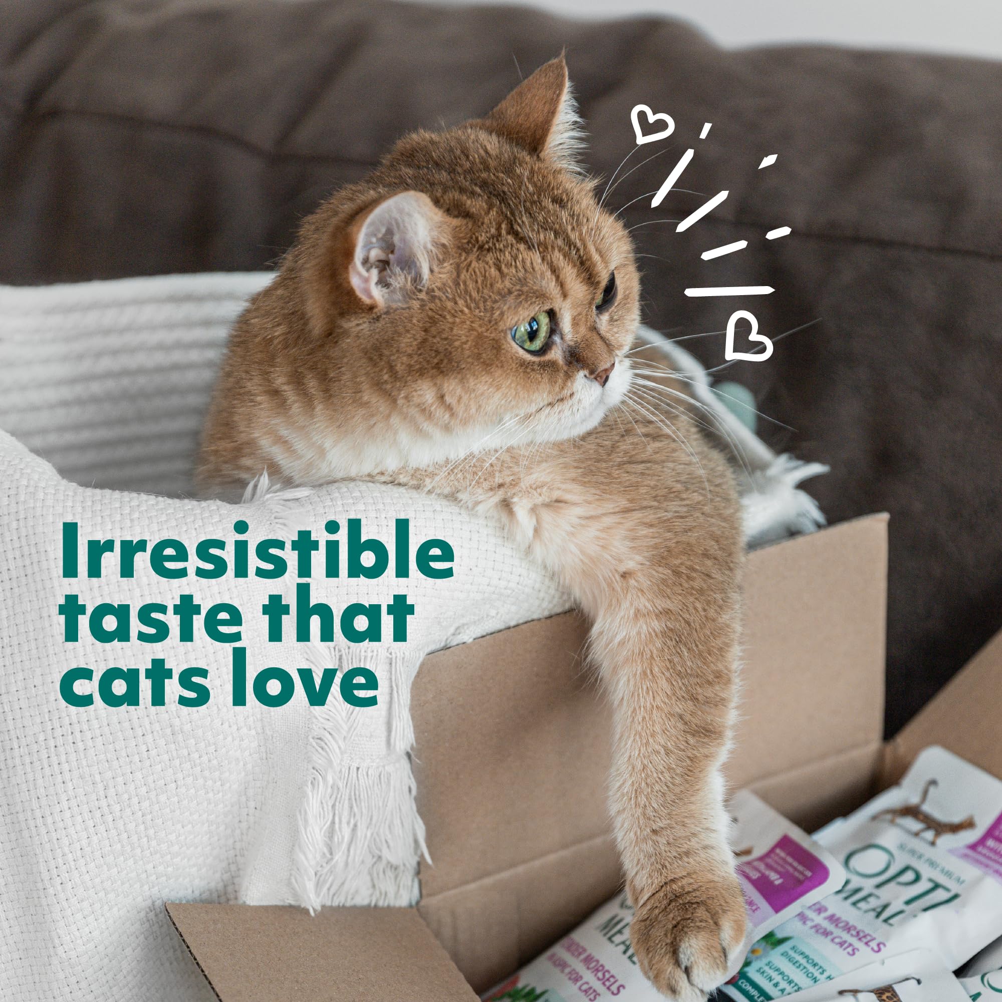 Optimeal Vital Nurture Kitten Dry Food - Chicken & Rice Recipe for Healthy Digestion & Immune Support - 8.8lb Bag - Premium Ukrainian Cat Food for Growing Kittens - Perfect for Daily Meals & Nutritional Growth