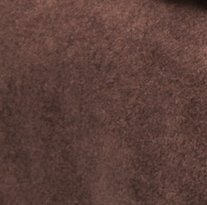 Brown Plush