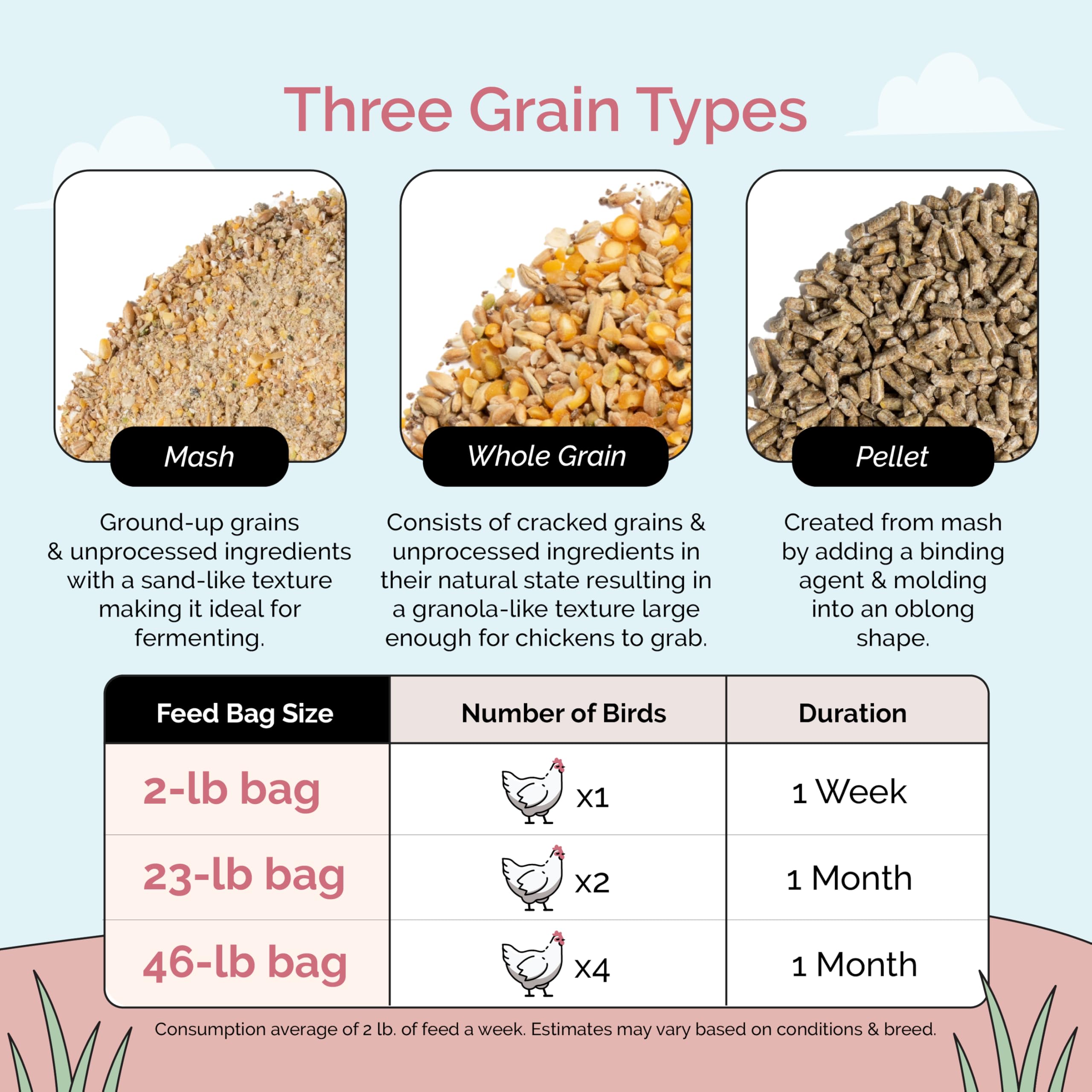 Organic Non-GMO Chicken Feed - Whole Grain Layer Feed, 16% Protein, Corn-Free & Soy-Free, USA Grown, 46 lbs - Healthy Poultry Nutrition for Egg Laying Hens & Backyard Chickens