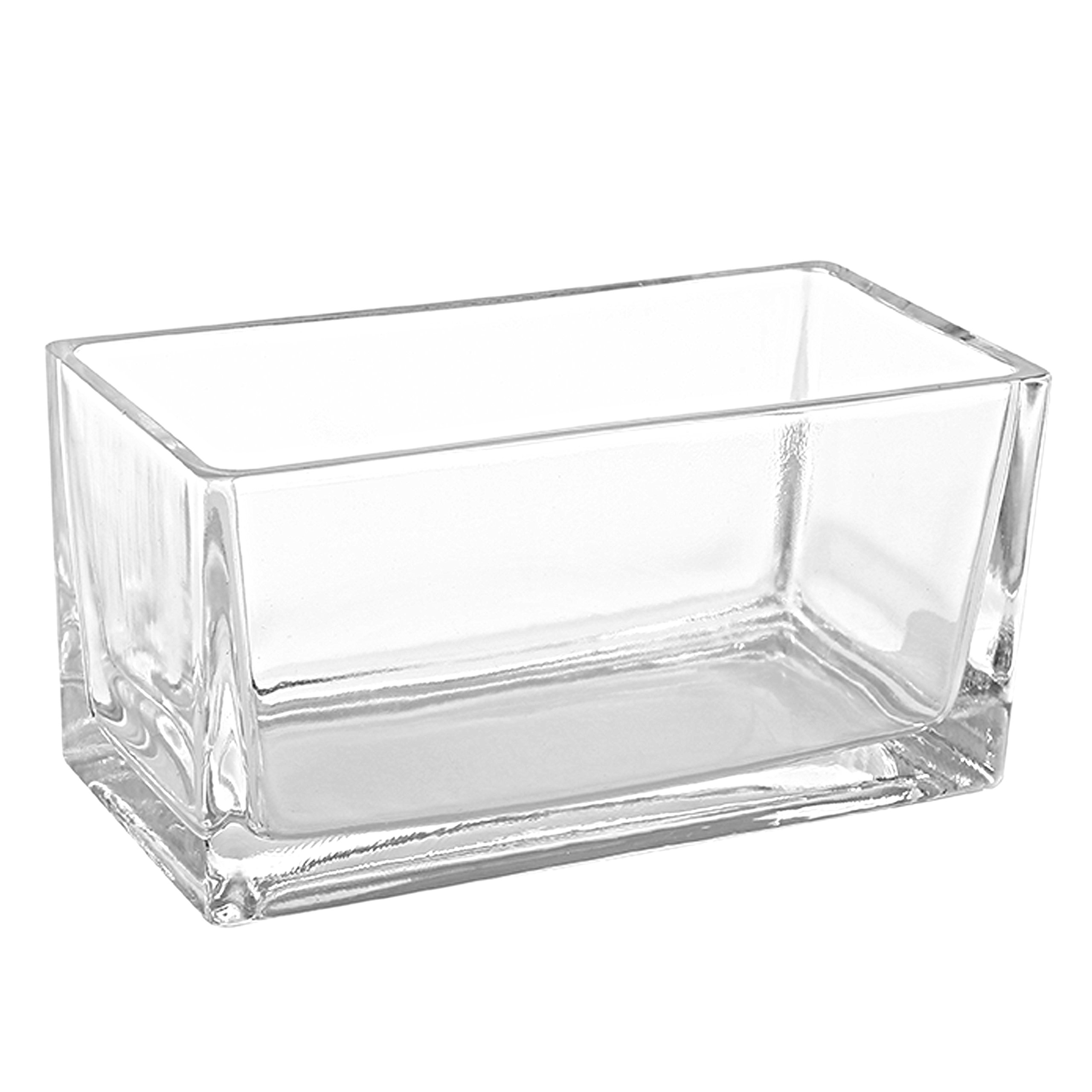 MyGift Decorative Rectangular Clear Small Glass Vase - Modern Tabletop Planter for Flowers, Succulents & Home Décor - Perfect for Centerpieces, Weddings & Office Decor