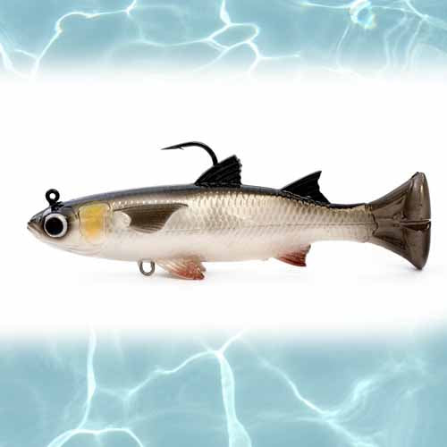 GOLDEN MULLET