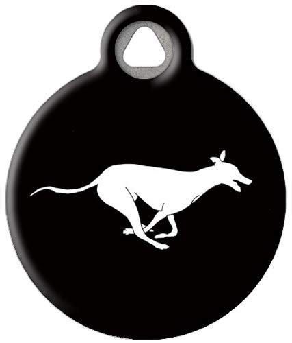 Running Greyhound