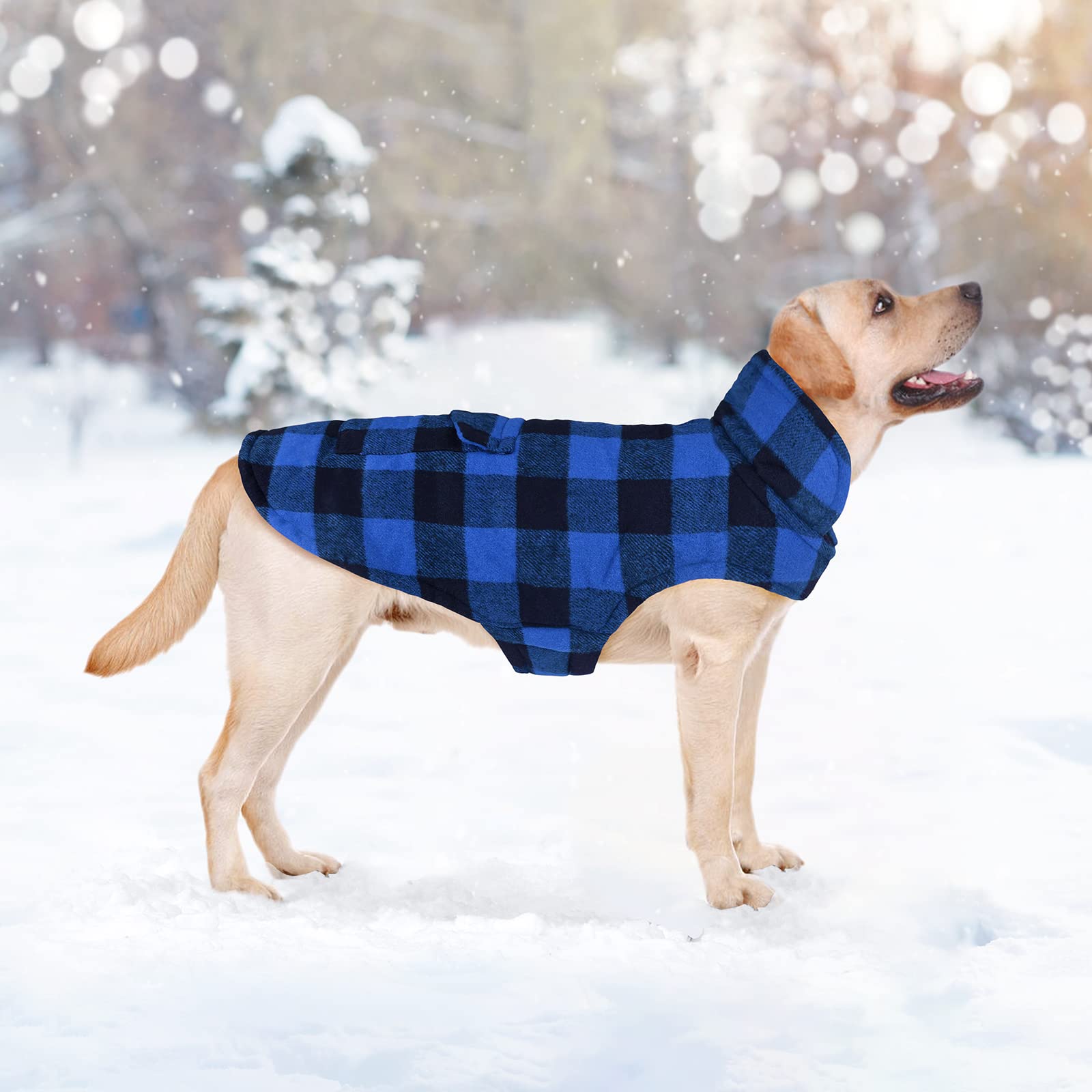 Malier Classic Plaid Fleece Dog Winter Coat - Windproof Warm Dog Jacket with Pocket for Small Medium Large Dogs (Blue, Medium) | Cold Weather Pet Apparel for Outdoor Walks & Winter Adventures