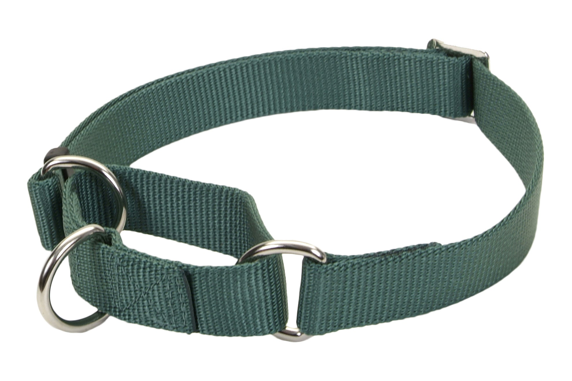 No-Slip Martingale Dog Collar - Adjustable & Secure Pet Training Collar for Walking, Training, and Everyday Use