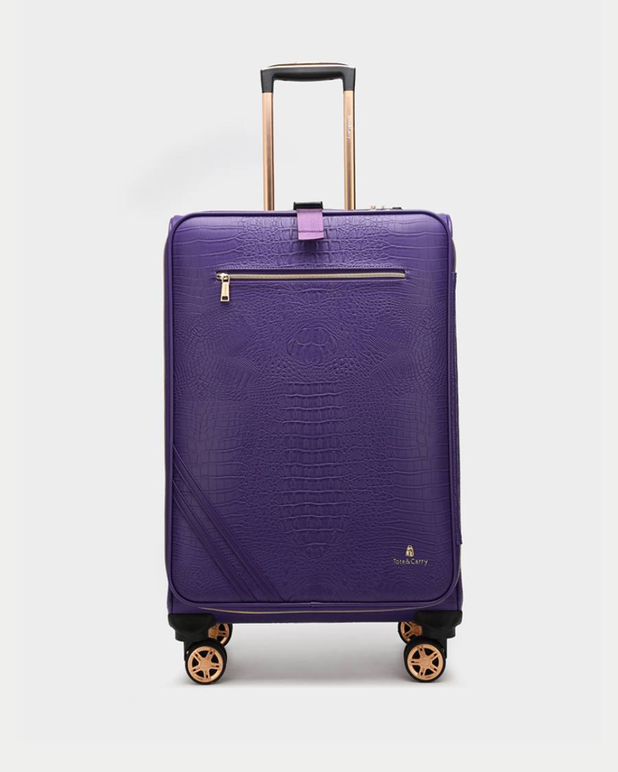 Apollo 2-Piece Luggage Set - 20