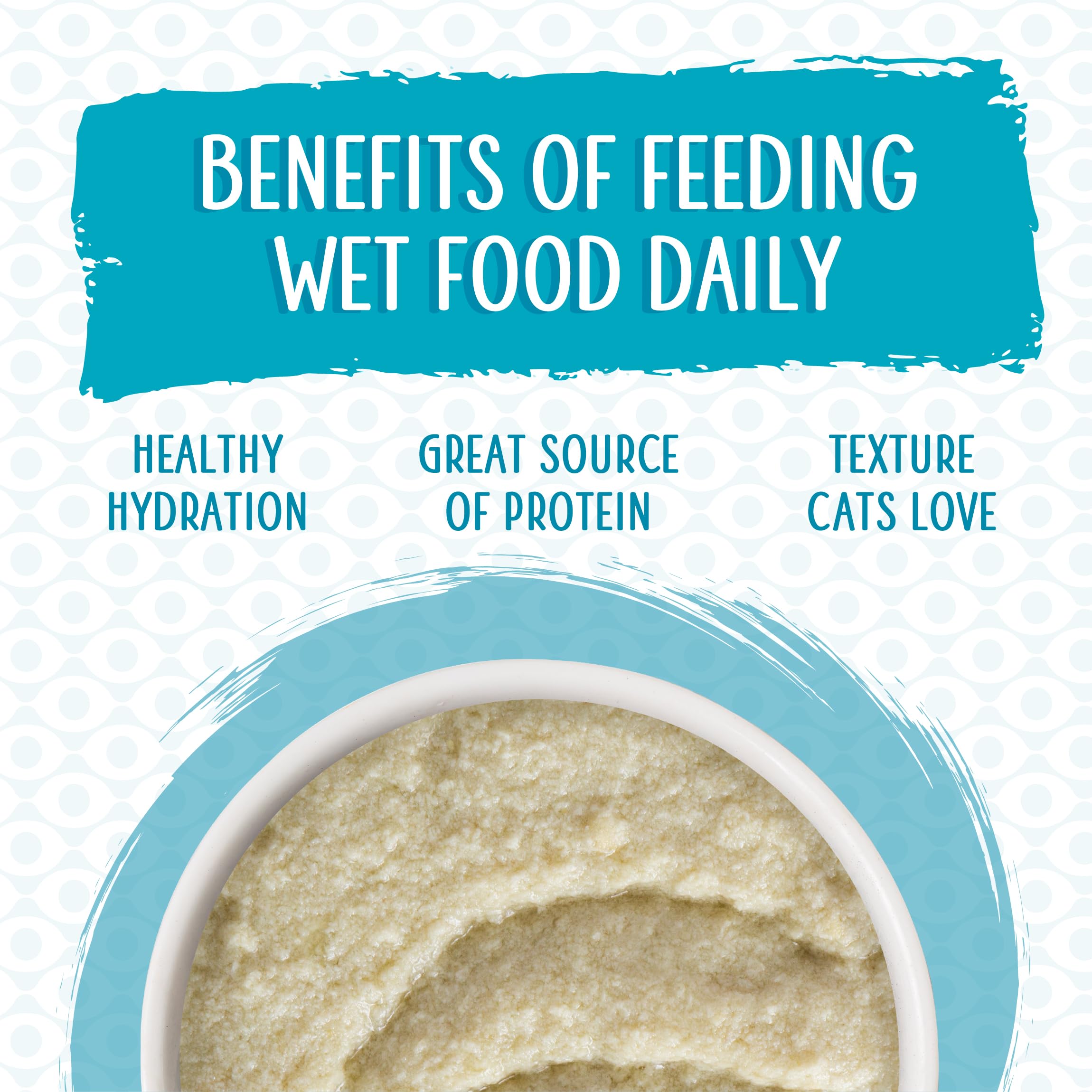 Weruva Wet Cat Food Pate Variety Pack - Big Time Bonus Round, 12 Pack (10oz Cans) - Grain-Free, High Protein Cat Food for Adult & Senior Cats - Perfect for Mealtime, Travel & Emergency Kits