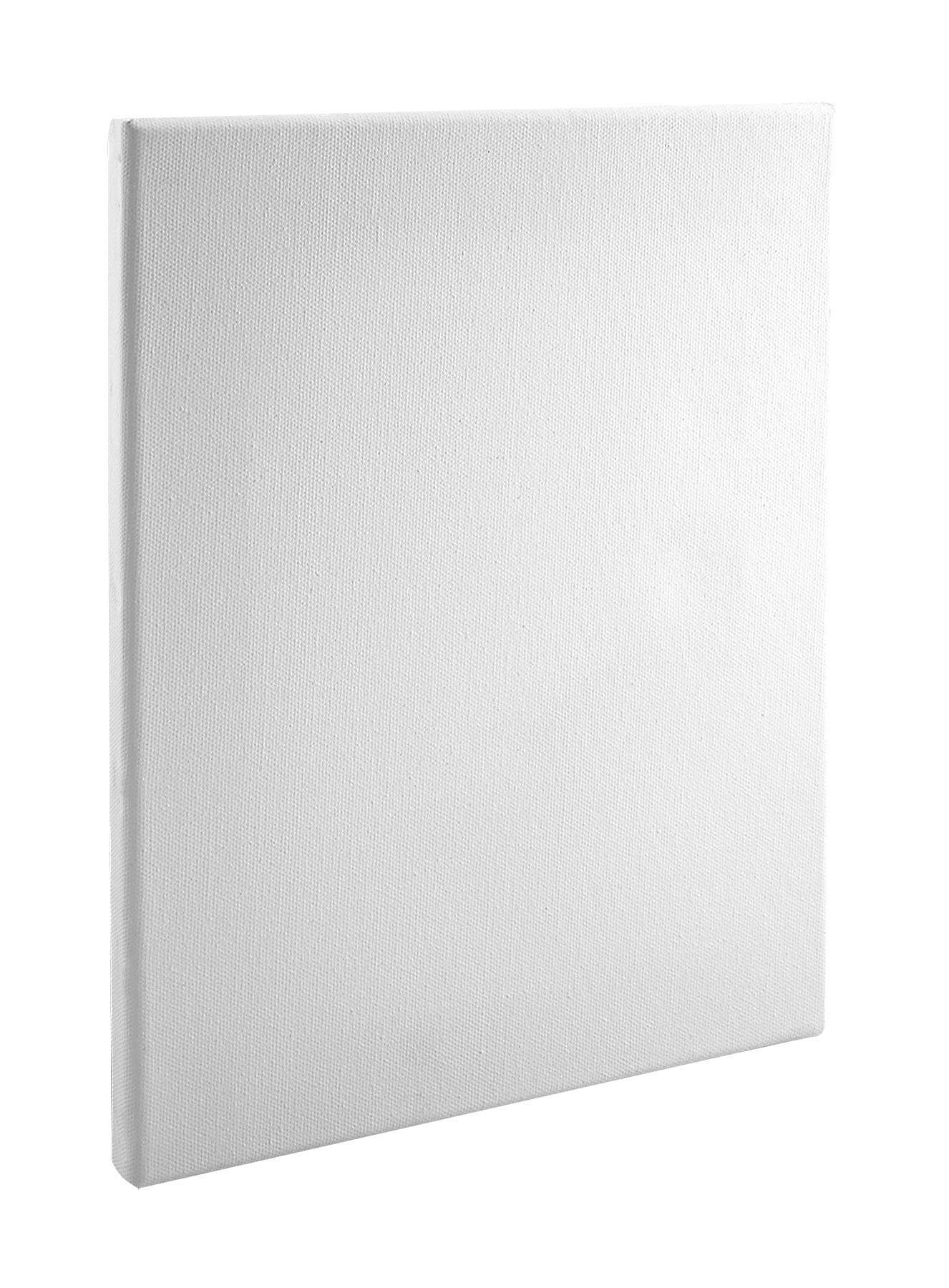 4-Piece Canvas Frame & Stretched Canvas Bundle - 2 Black Frames & 2 Blank Canvases (16x20 Inches) - Perfect for DIY Art, Home Decor & Wall Display
