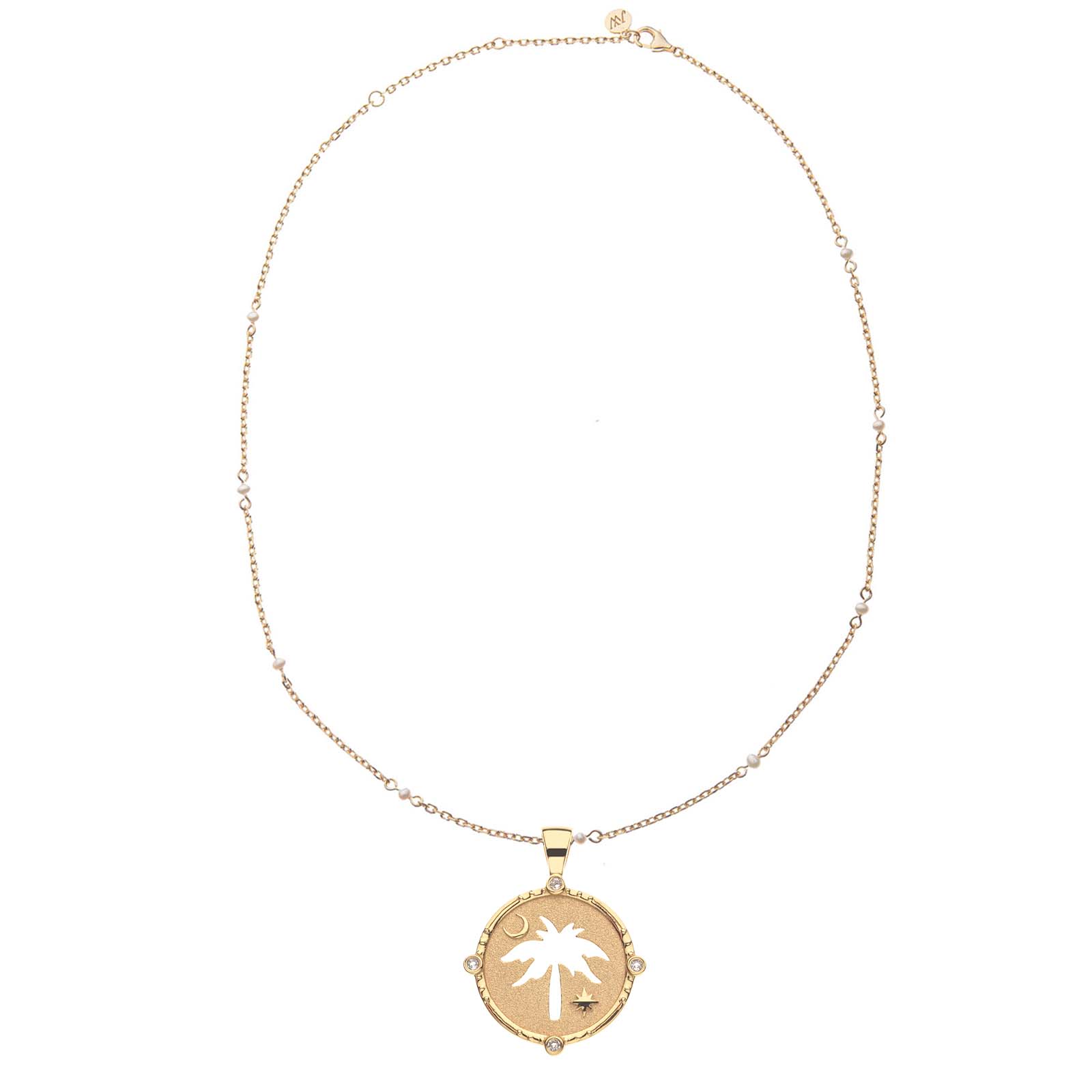 Jane Win CHARLESTON Palmetto Cutout Coin Pendant Necklace - Southern Charm Jewelry for Women, 18K Gold Plated Coin Necklace with Cutout Design, Perfect for Casual Wear, Date Night & Gift Giving
