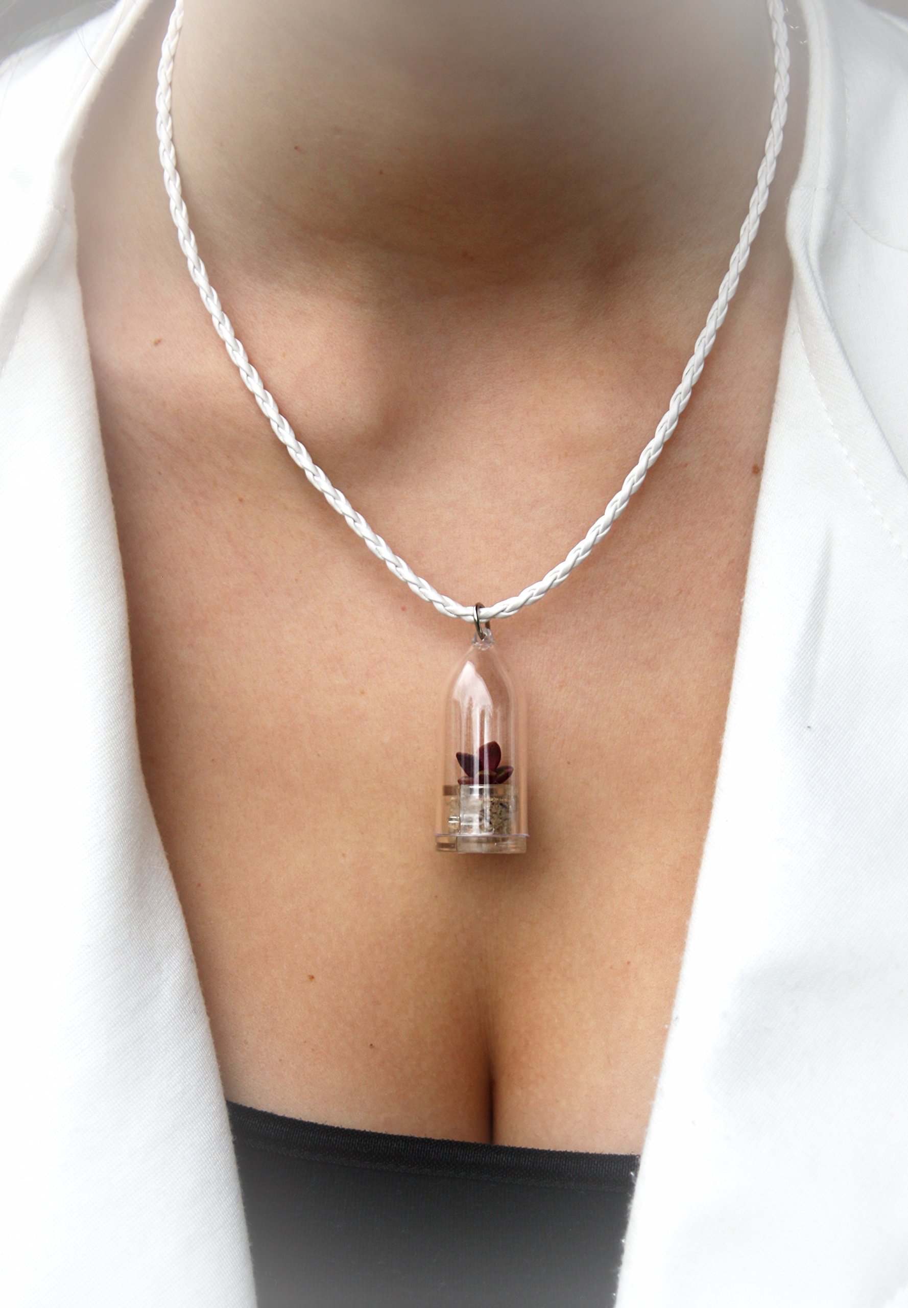 Live Cacti Plant Necklace - Terrarium Flower Pendant with 17