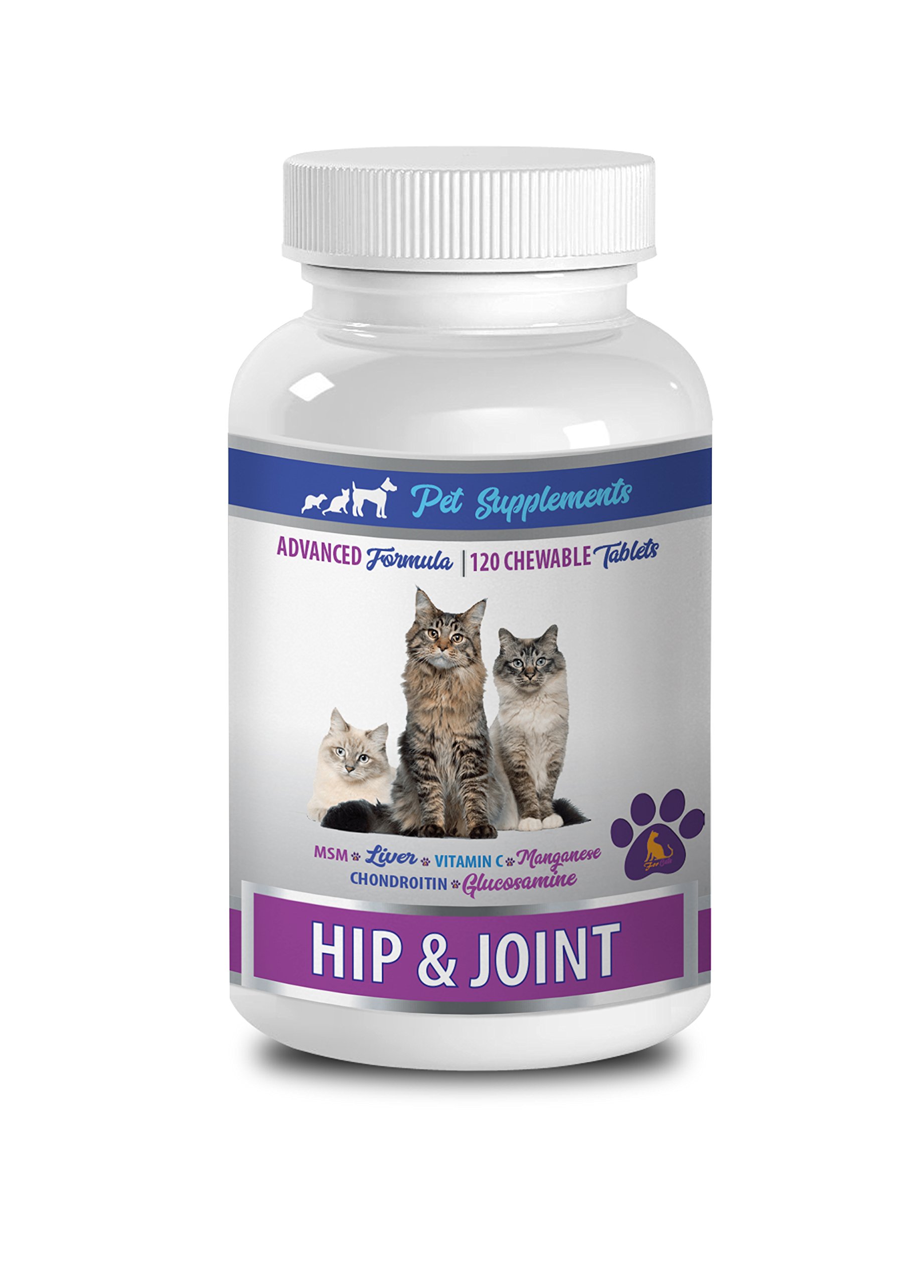 Premium Cat Joint Support Chews with Glucosamine & Chondroitin - Advanced Hip & Joint Health Formula for Cats - Delicious Healthy Soft Treats (120 Count/Bottle) - Ideal for Senior Cats & Feline Mobility Support