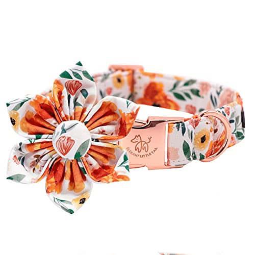 Orange Flower