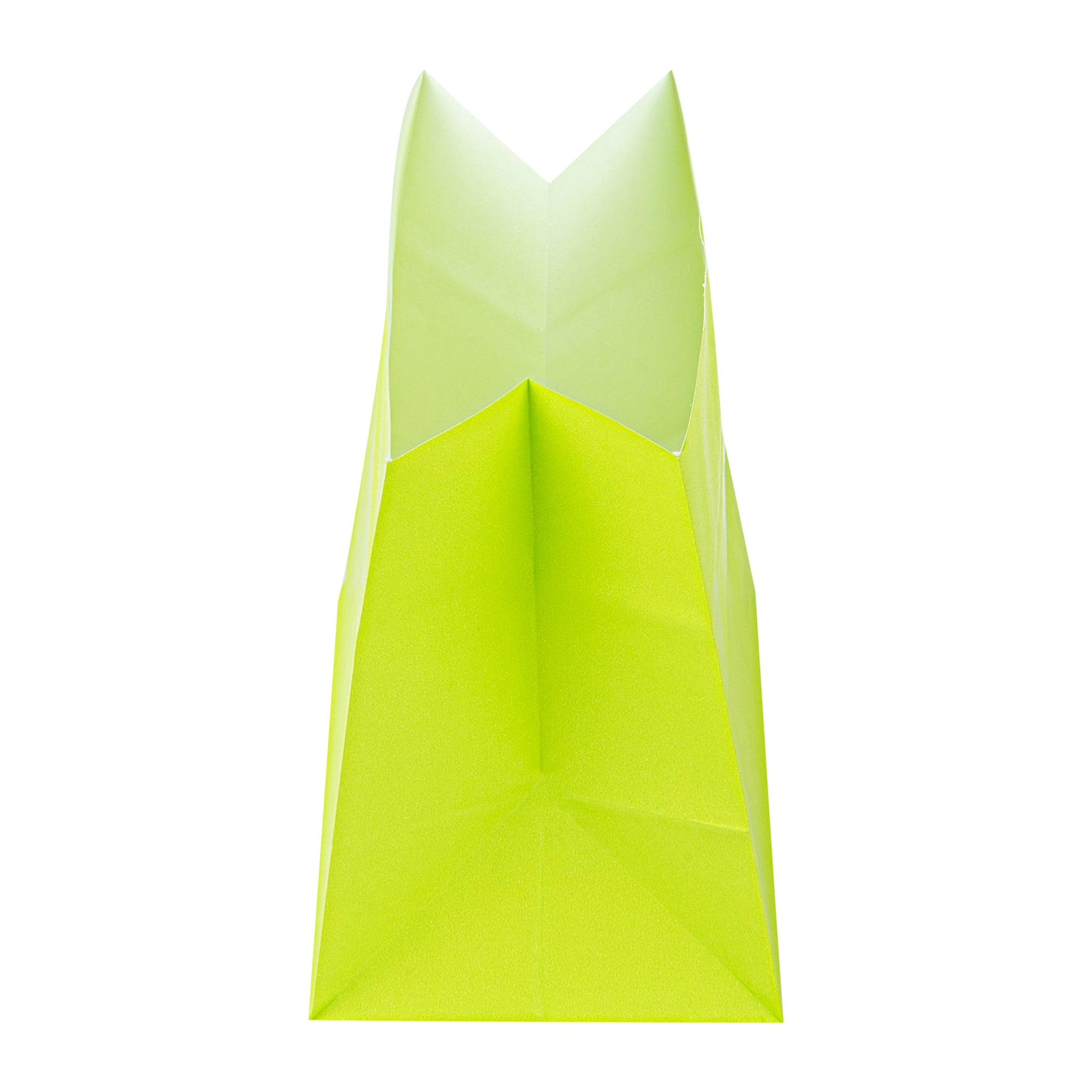 Eco-Friendly Large Snack Bags - 4.25