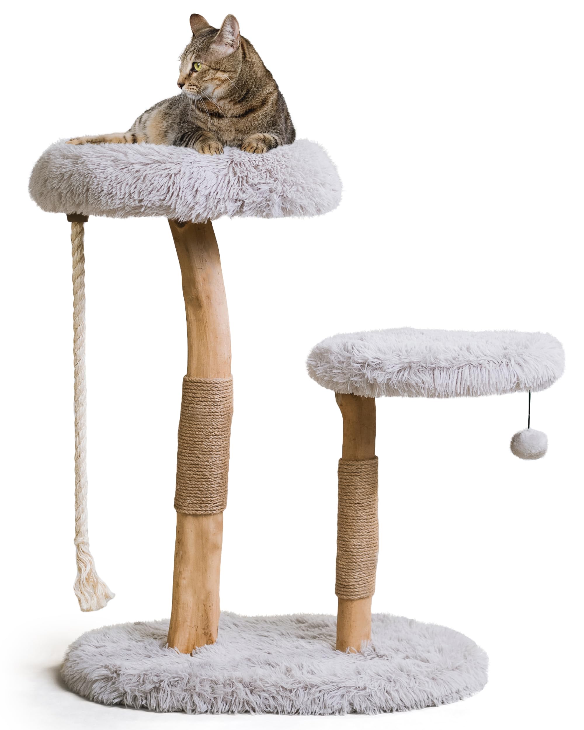 Premium MAU Modern Cat Tree Tower - Natural Wood Cat Condo & Scratching Post for Indoor Cats - Luxury Cat Furniture with Multi-Level Perches & Cozy Hideaway - Perfect for Play, Rest & Climbing - Ideal Gift for Cat Lovers