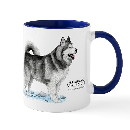 White/Navy Inside