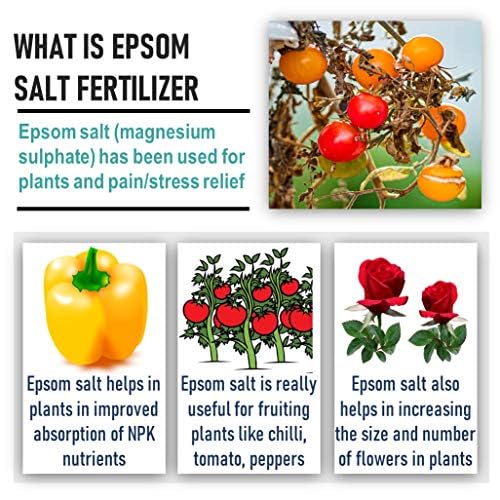 Shiviproducts Epsom Salt (Magnesium Sulfate) 800g - Organic Plant Fertilizer for Garden Growth, Nutrient Boost & Muscle Pain Relief - Perfect for Home Gardening, Lawn Care & Relaxing Bath Soaks