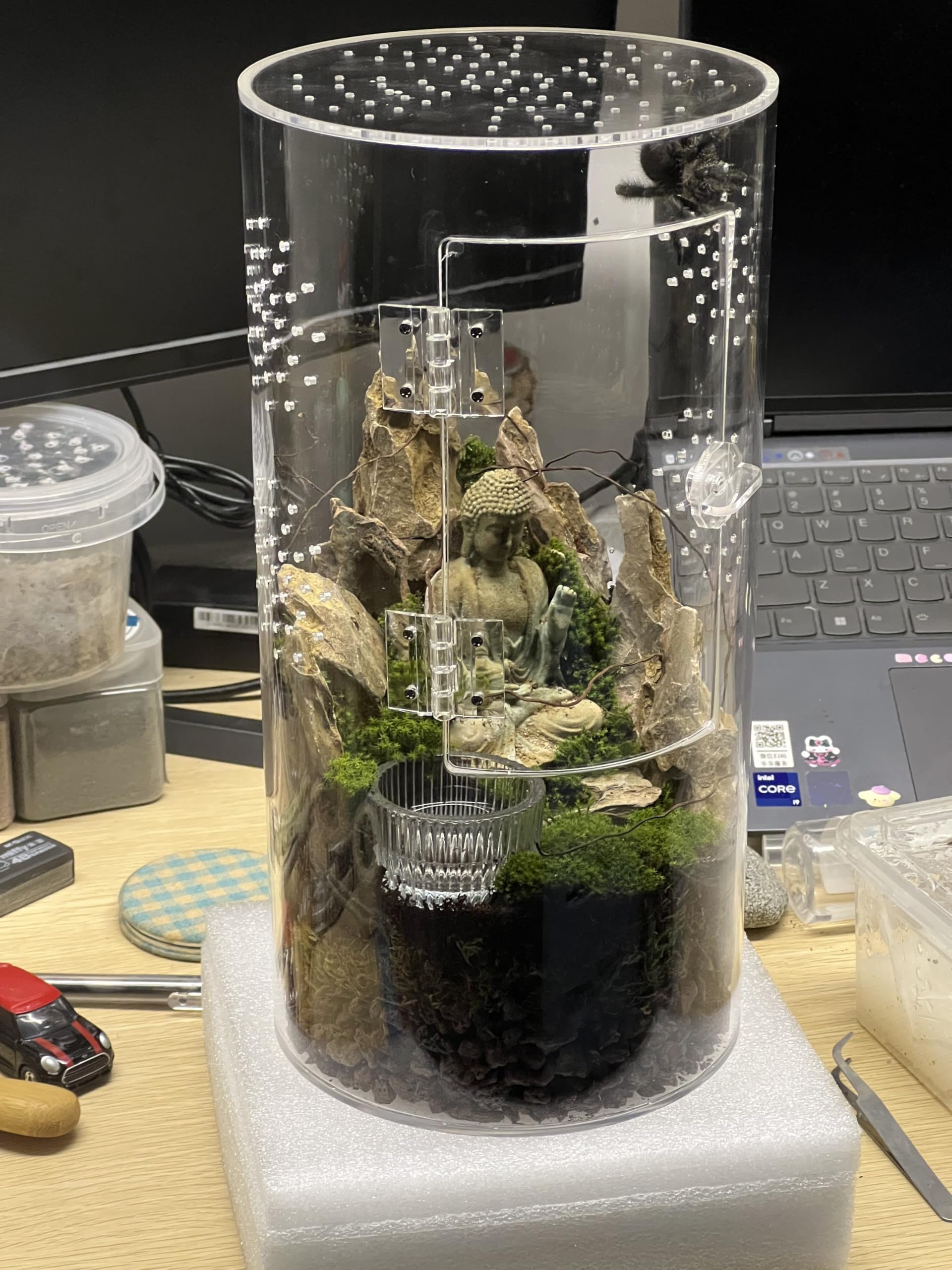 Front Opening Terrarium for Jumping Spiders & Arboreal Tarantulas - 12x6x6 Inch Tall Acrylic Reptile Enclosure with Cross Ventilation & Waterproof Design - Perfect for Pet Spiders, Reptile Habitats & Classroom Science Projects