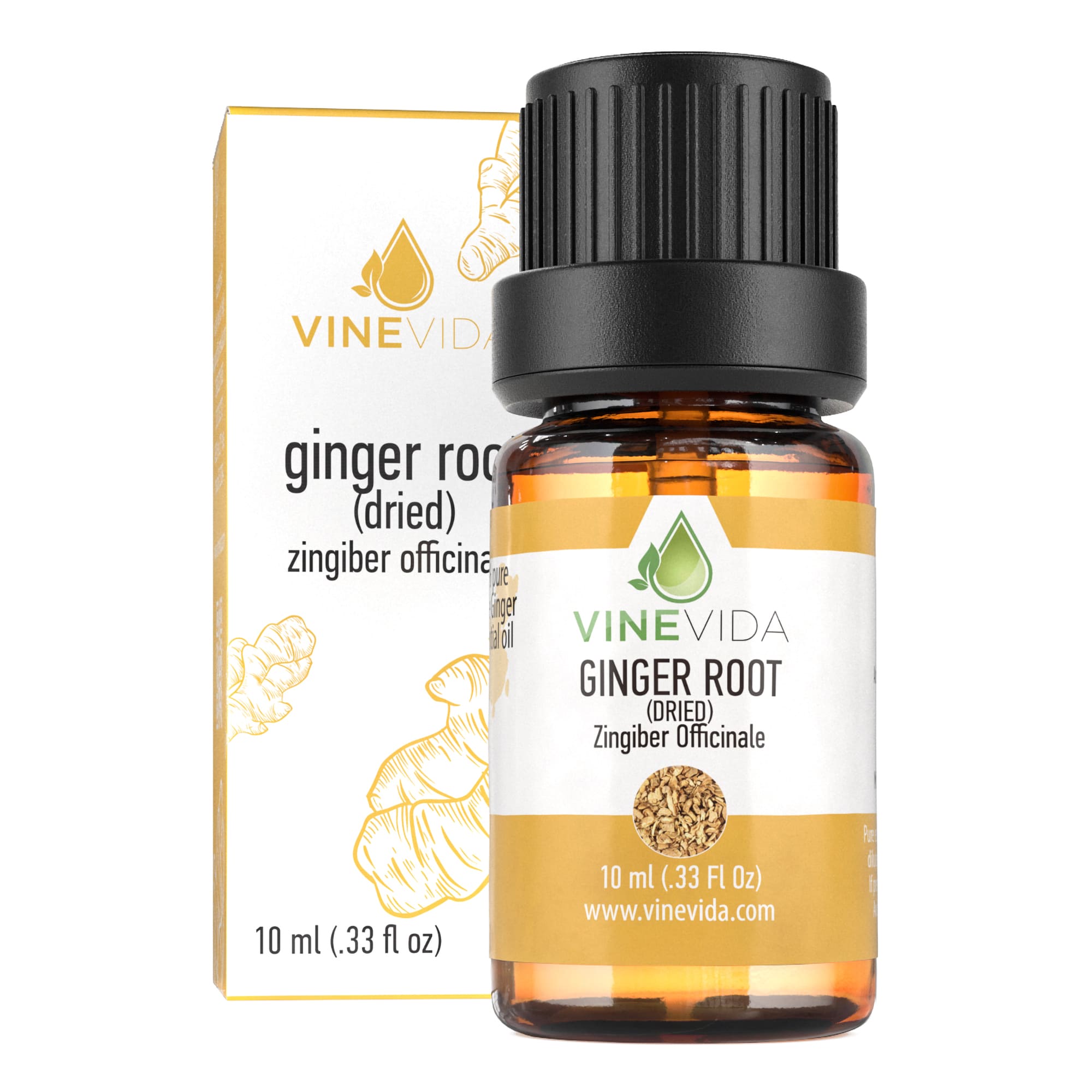 10 mL Dried Ginger Root (Prefilled) - Organic Herbal Supplement for Digestion & Nausea Relief - Perfect for Tea, Cooking & Natural Remedies