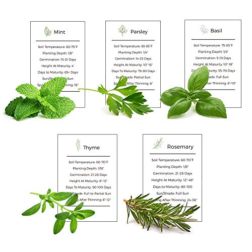 Basil, Mint, Parsley, Thyme & Rosemary