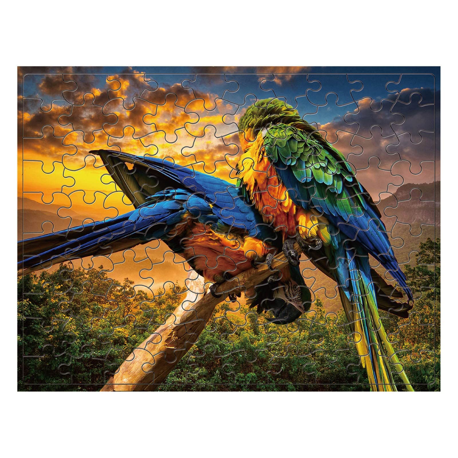 100pcs Puzzle Toy for Adults & Kids - Brain Development, Holiday Gift (Multicolor) for Family Fun