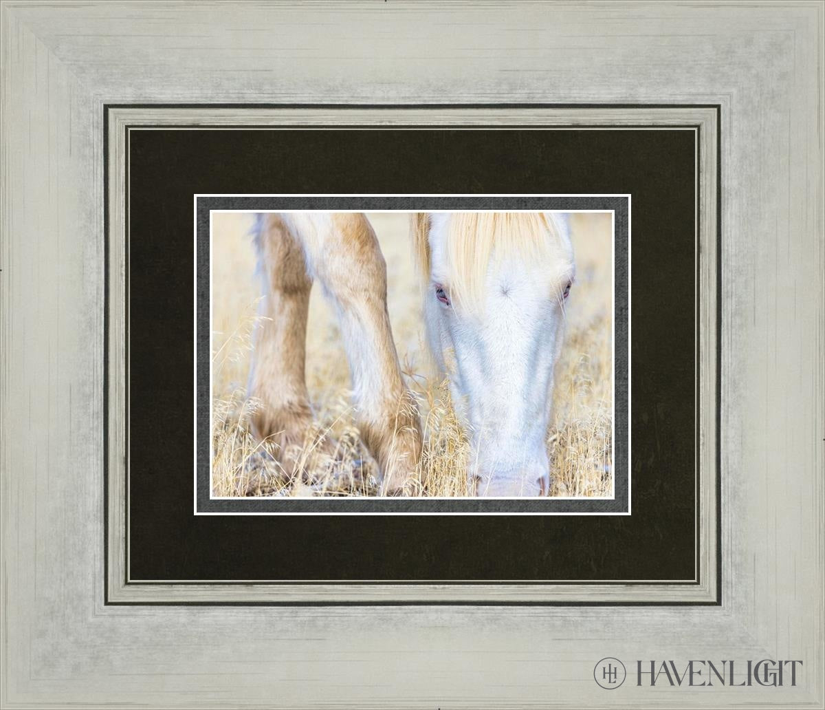 Dry Grass by Greg Sargent - Premium Handcrafted Home Decor for Rustic & Farmhouse Style - Perfect for Wall Art, Shelf Displays & Cozy Living Room Decor