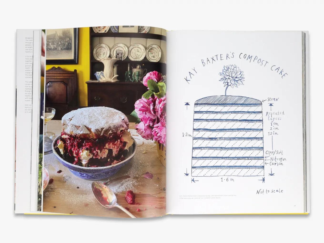 Organic Gardening Essentials | Soil to Table Guide by The Land Gardeners | Perfect for Homegrown Vegetables & Sustainable Farming