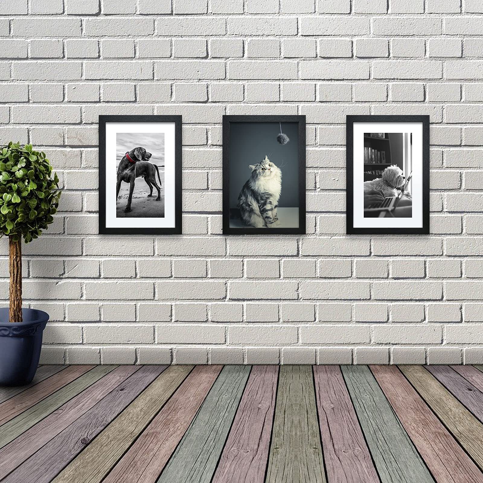 VCK 11x17 Inch Wooden Picture Frames Set - Black Certificate Frames with Wall Mounting for Home, Office & Gallery Decor | Perfect for Displaying Photos, Artwork & Diplomas