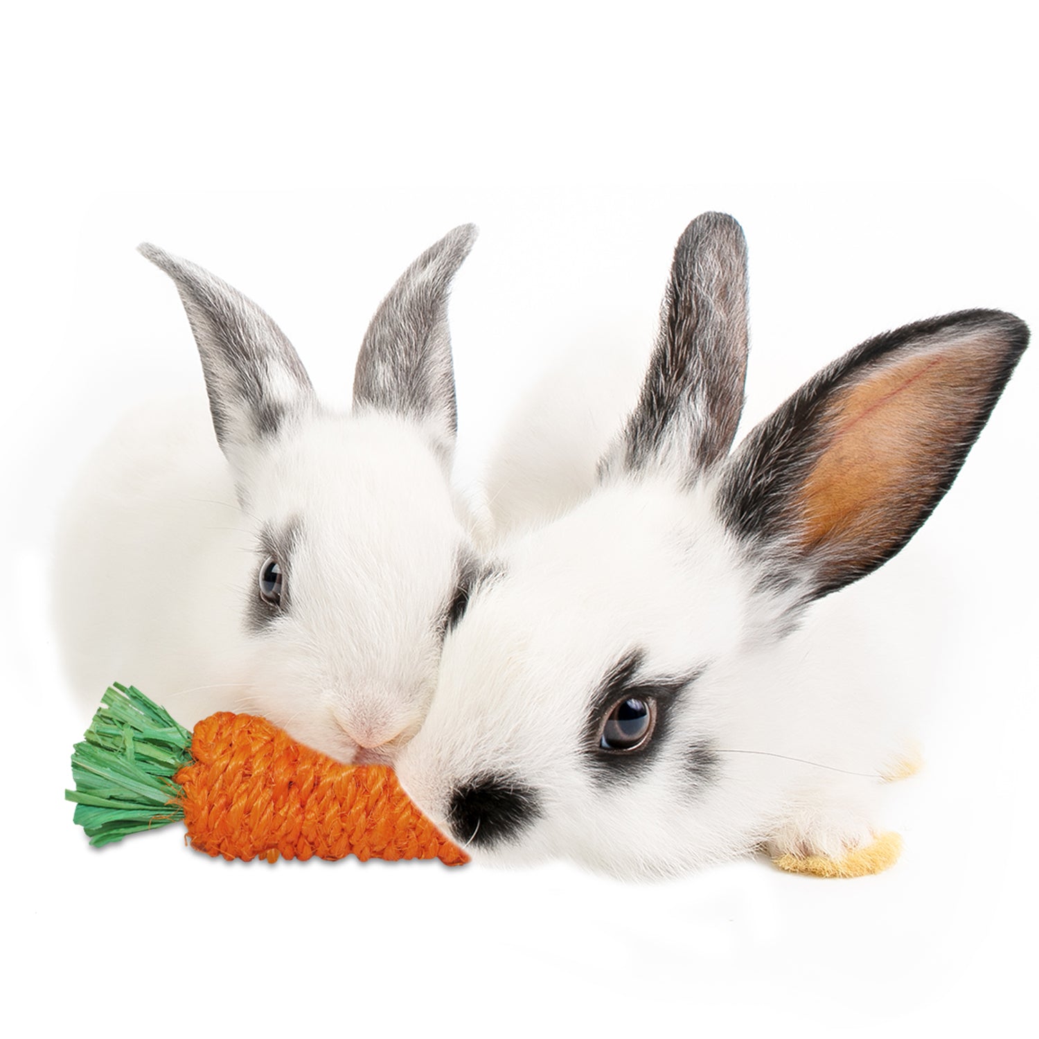 Natural Woven Grass Carrot Chew Toy for Small Pets - Safe & Durable Chewing Treat for Rabbits, Guinea Pigs & Hamsters - Perfect for Cage Enrichment & Dental Health
