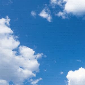 Summer Sky