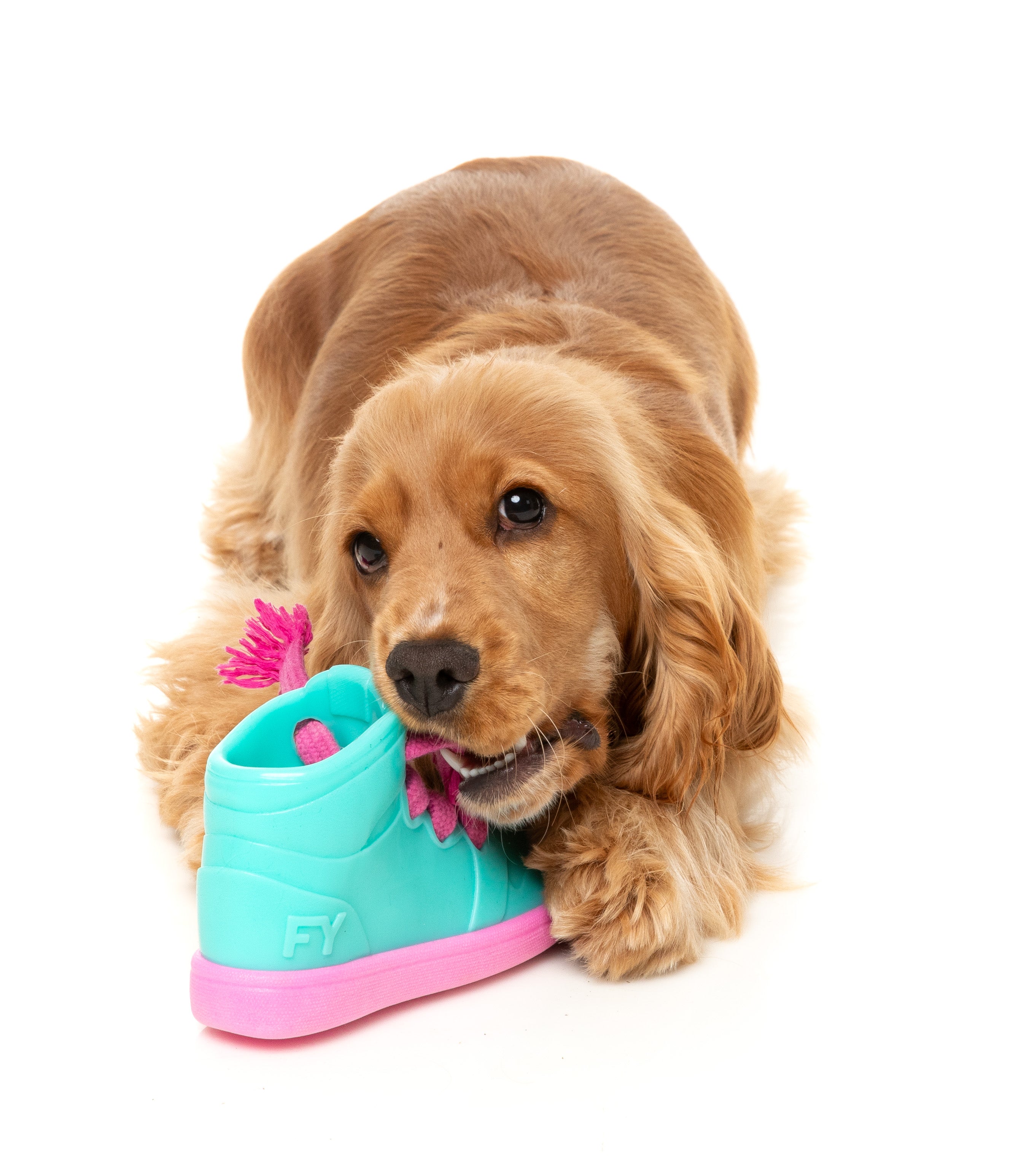 Fuzzyard Interactive Treat Dispensing Dog Chew Toy - Fun Puzzle Game for Dogs with Fresh Kicks N' Licks Flavor - Perfect for Boredom Relief & Dental Health