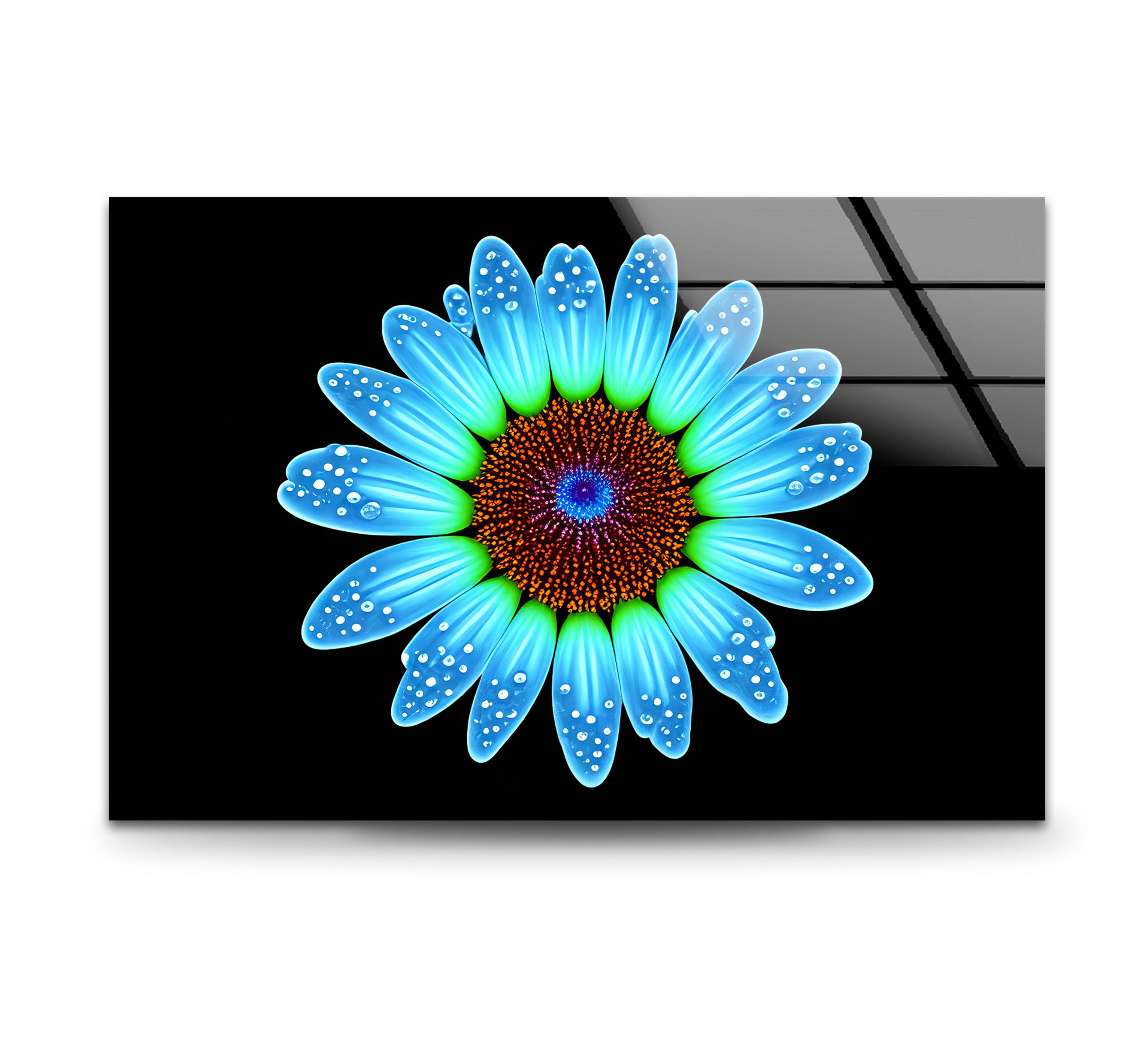 Blue Daisy Flower Wall Art - Luminous Glass Print on Black Background with Water Droplet Detail | Modern Home Decor for Living Room, Bedroom & Office | Elegant Botanical Wall Decor for Contemporary Interiors