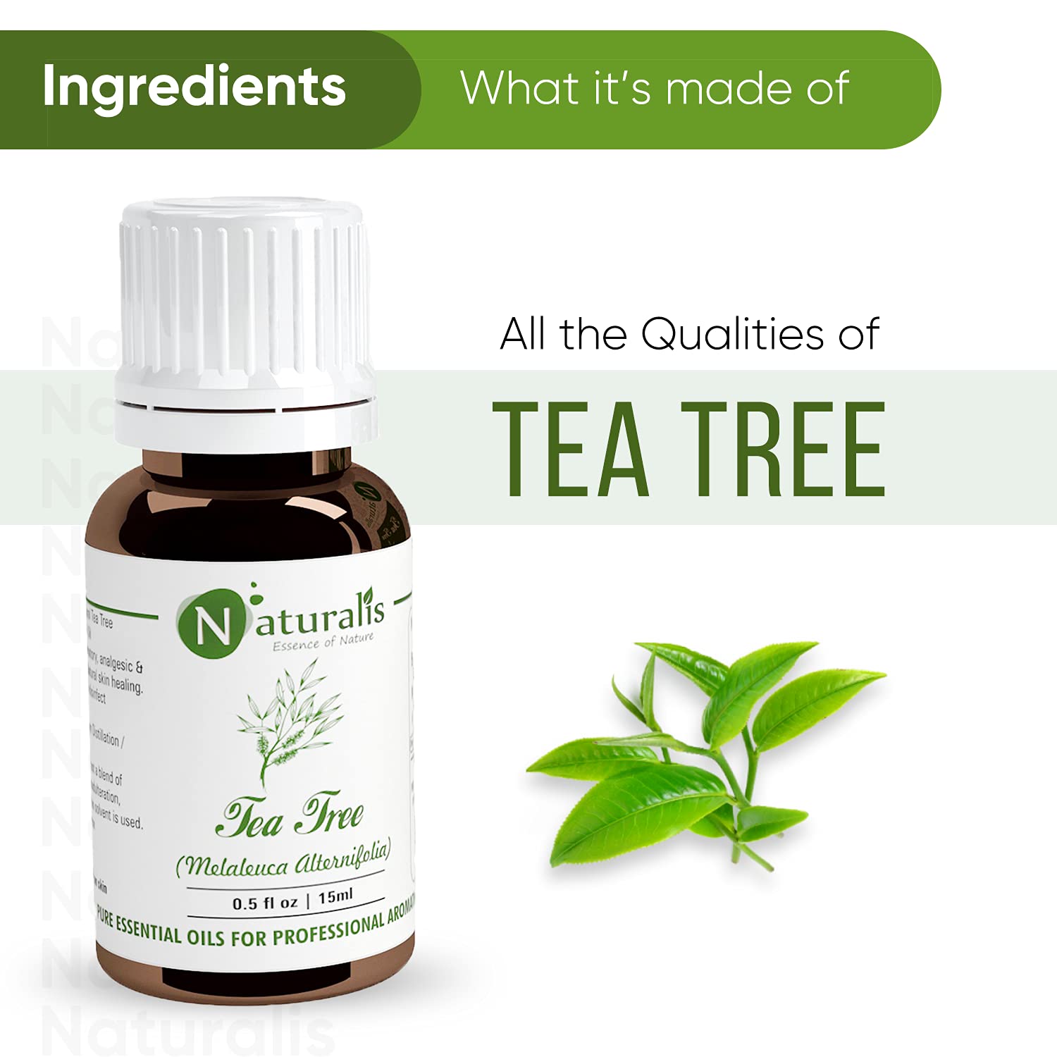 Naturalis Essential Oil Set - 2 Pack (15ml Rosemary Oil & Tea Tree Oil) for Aromatherapy, Skin Care & Hair Growth | Pure Therapeutic Grade Oils for Diffusers, Massage & DIY Beauty