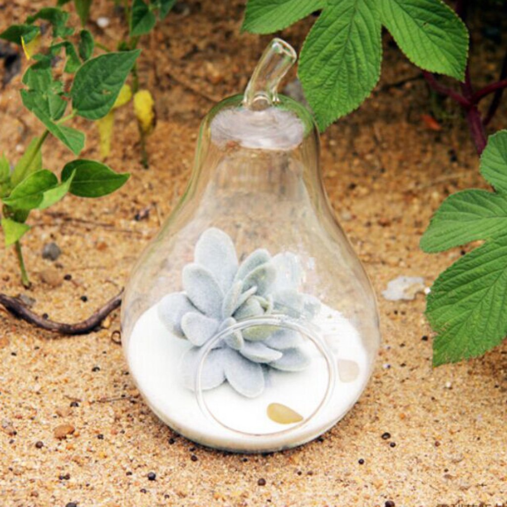 Pear Shaped Glass Hanging Vase - Elegant Plant Flower Decor for Home, Wedding, Garden & Office | Handmade Clear Glass Bottle for Air Plants, Succulents & Fresh Cut Flowers