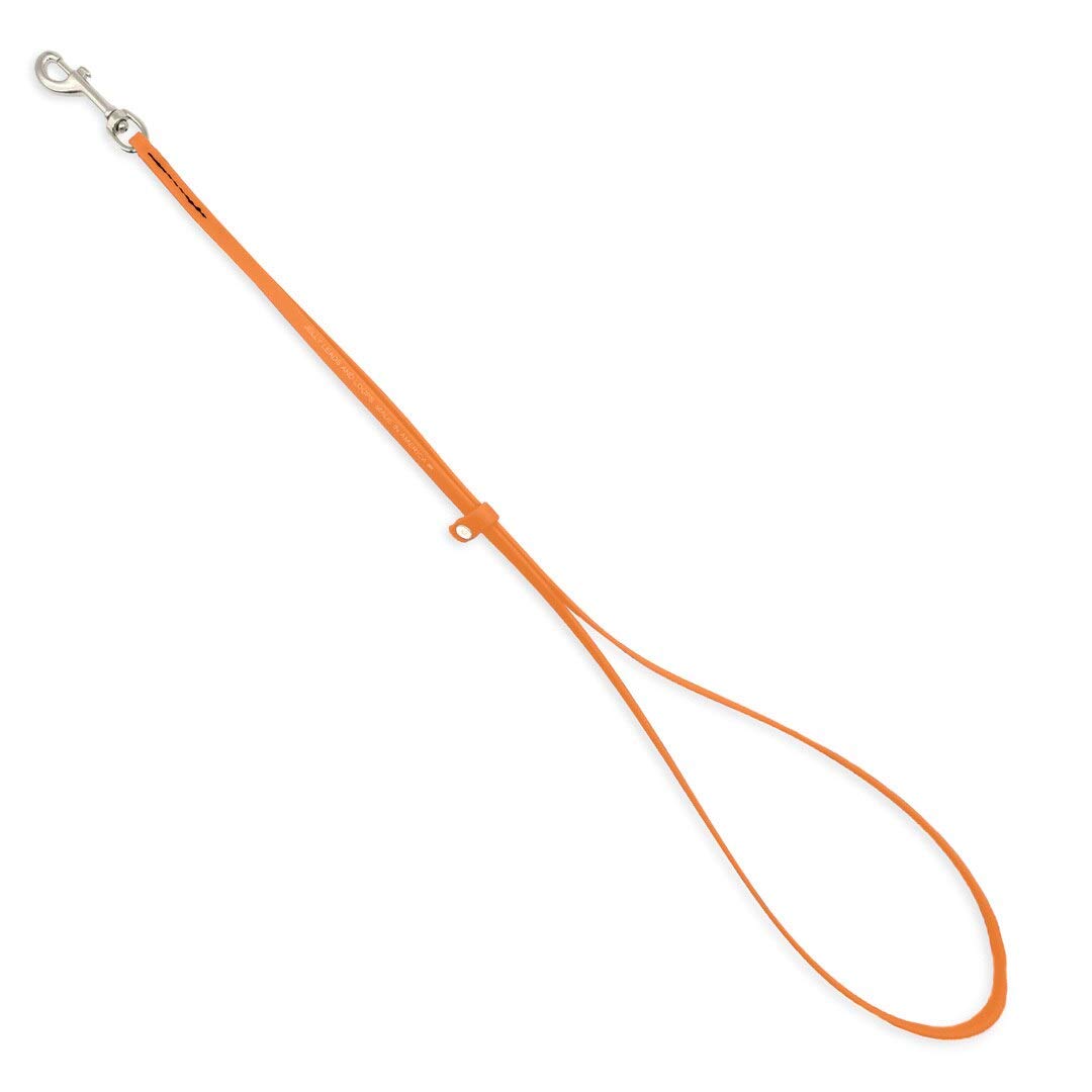 Premium Jelly Pet Grooming Loop for Dogs - 6 Pack | Heavy Duty Noose for Grooming Tables & Tubs | Waterproof, Easy Clean & Stronger Than Leather | USA Made | Perfect for Professional Groomers & Home Pet Care