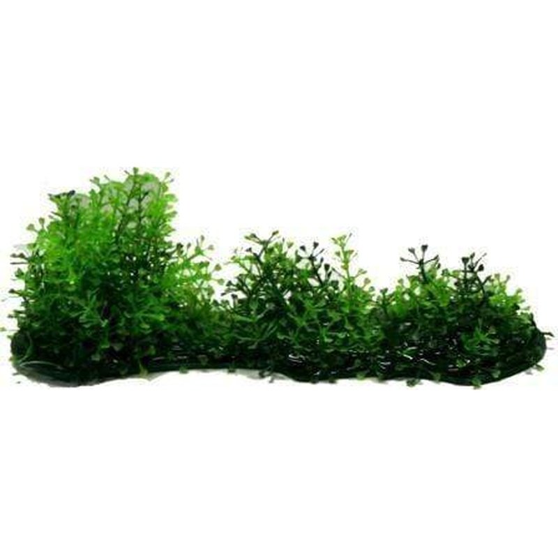 Amazon Jungle Hygro Covered Log Short - Natural Aquarium Decoration for Fish Tanks, Reptile Habitats & Terrariums | Enhances Aquatic Environments