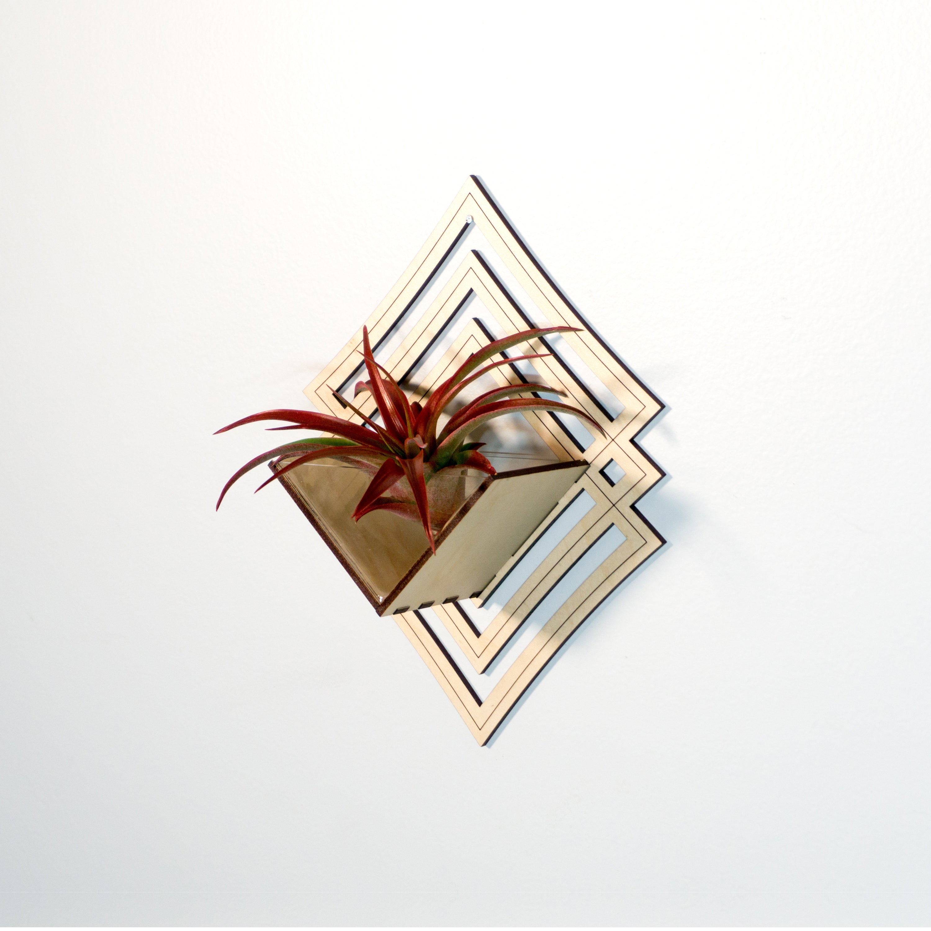 Modern Handmade Wood Wall Hanging Planter Set of 6 - Air Plant Holder & Mounted Display Hanger for Home Decor - Perfect Plant Lover Gift & Living Art for Living Room, Bedroom, or Office