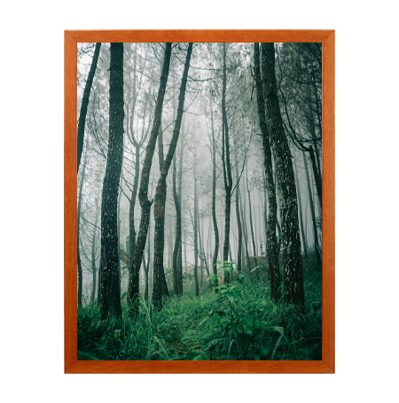 16x20 Inch Wooden Poster Frame - Premium Swing Frame for Wall Display - Perfect for Home Decor, Office Art, and Gallery Exhibitions