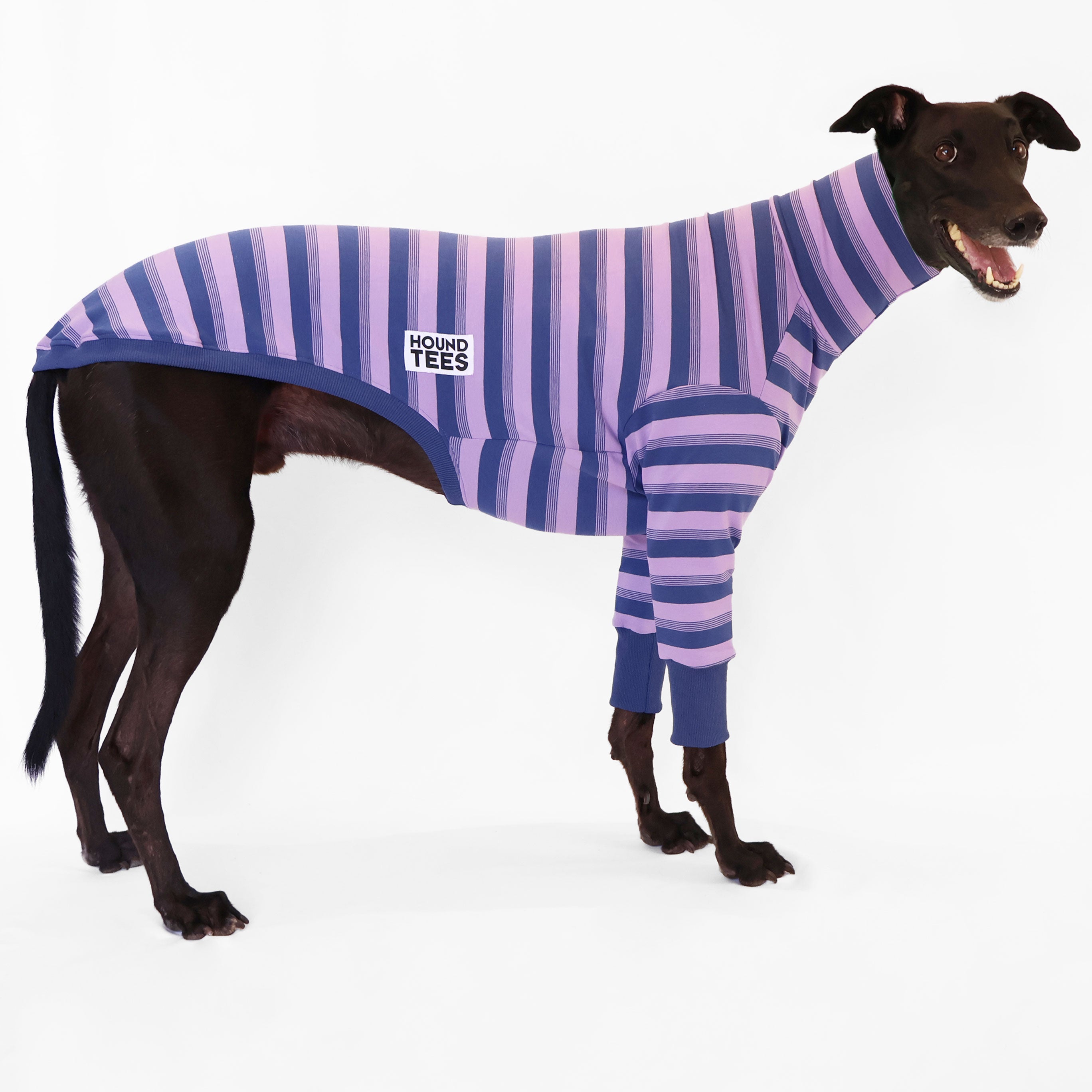 Bush Turkey Greyhound Long Sleeve Sweater for Men & Women - Cozy Winter Knit Pullover for Outdoor Activities and Casual Wear