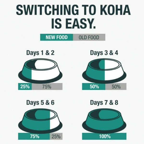 KOHA LID Salmon Entrée Canned Dog Food - Grain-Free, Limited Ingredient Diet for Dogs with Sensitive Stomachs - Perfect for Mealtime, Travel & Emergency Pet Food Supply