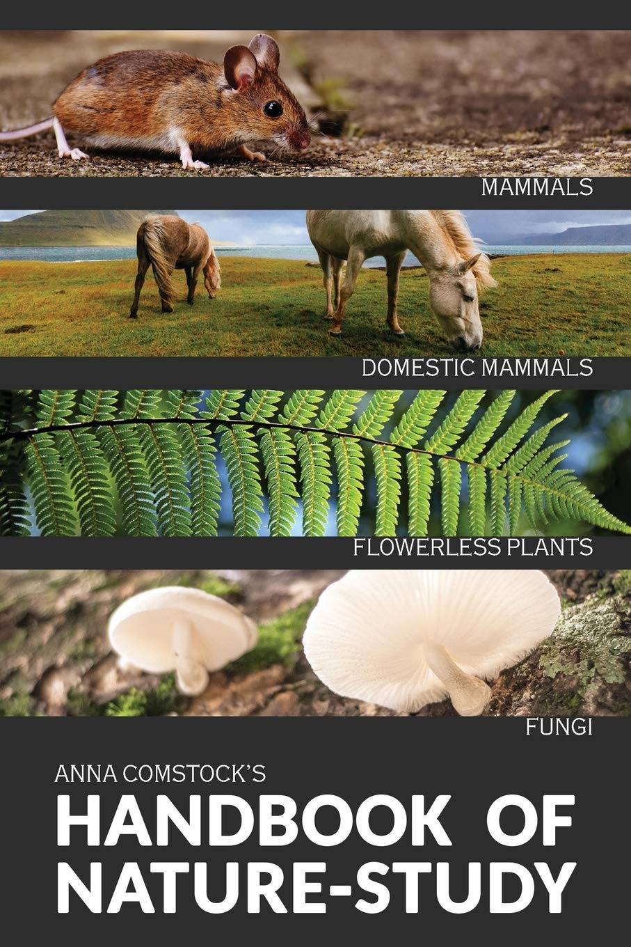 The Handbook of Nature Study in Color - Mammals & Flowerless Plants | Educational Guide for Homeschooling & Outdoor Learning | Perfect for Students, Teachers & Nature Enthusiasts