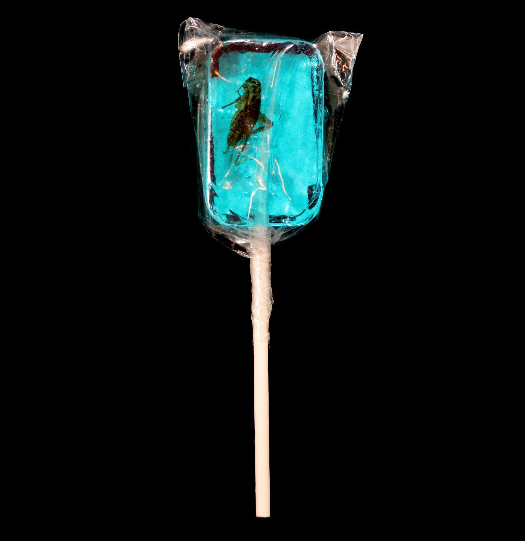 Cricket Lick It Sucker - Sweet Cricket Bait for Fishing & Outdoor Adventures - Perfect for Fishing Lures, Camping, and Hiking Trips