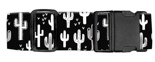 Black White Cacti