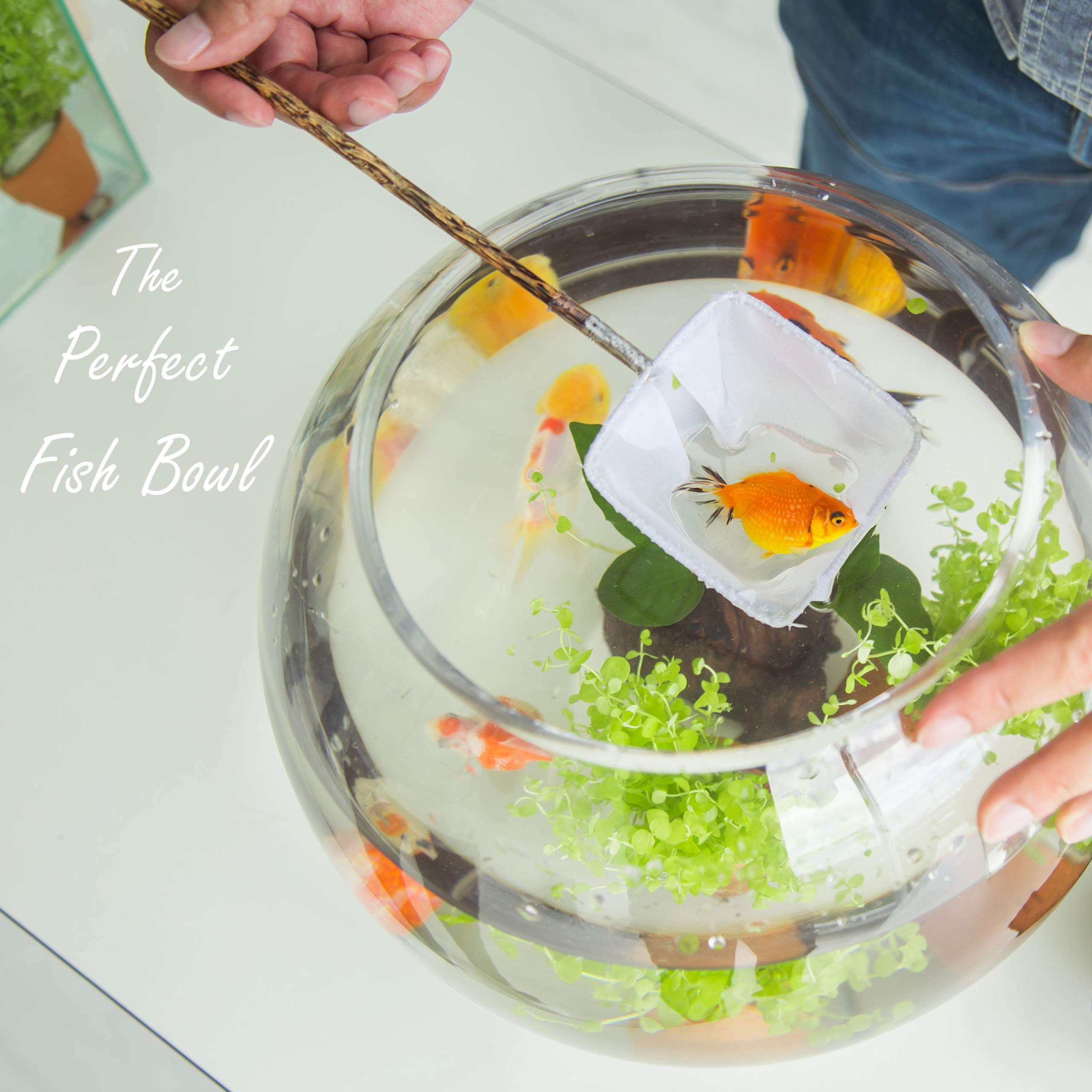 Large Glass Bubble Bowl - 9.5