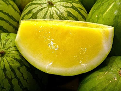 30+ Yellow Flesh Doll Babies Desert King Watermelon Seeds (Not Seedless) - Sweet Juicy Melon for Home Gardening, Farmers Market & Fresh Fruit Snacking