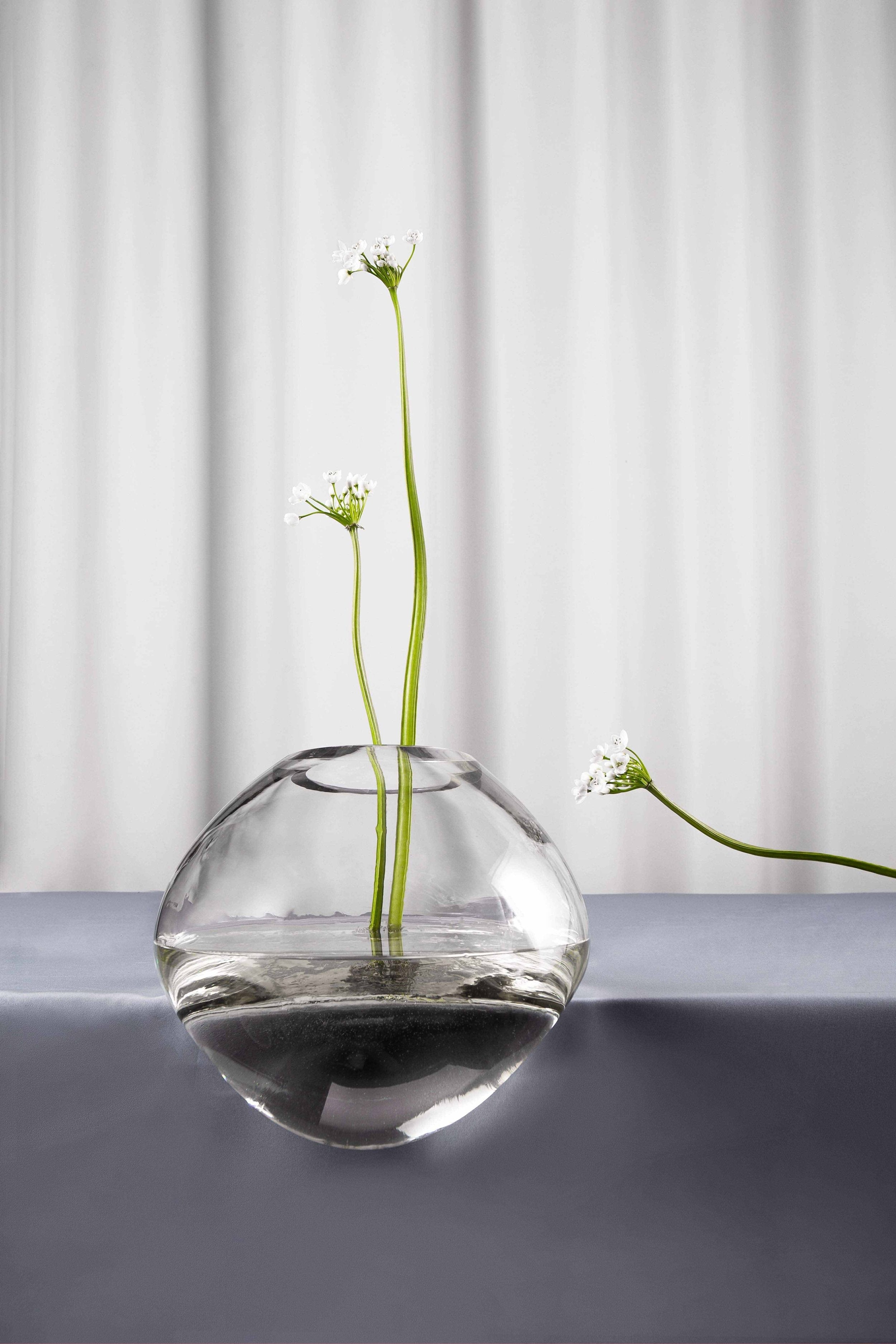 Noom Gutta Vase - Modern Ceramic Flower Vase for Home Decor, Wedding Centerpieces & Office Desk Accessories