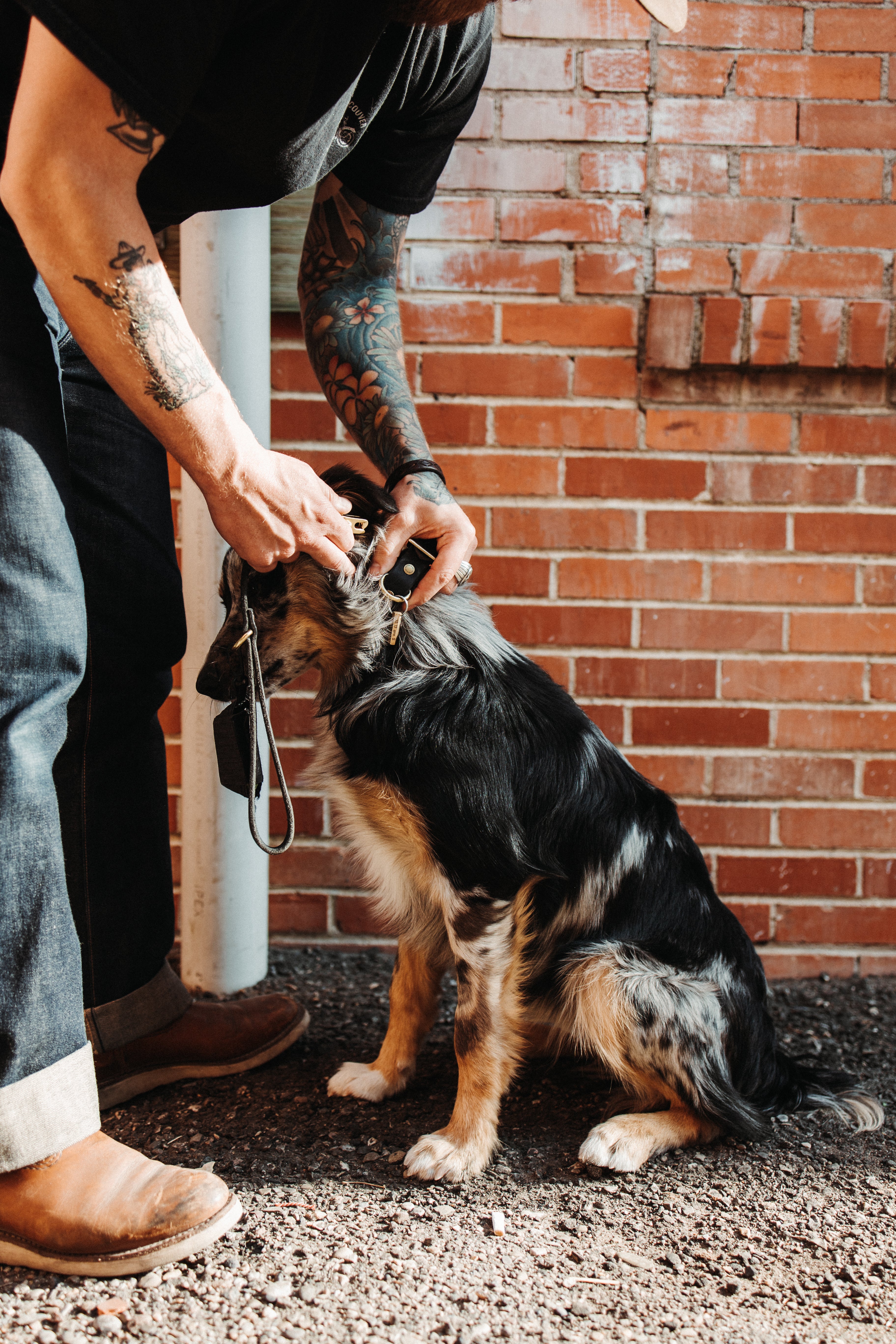 Premium Natural Leather Dog Lead - The Gus - Durable & Stylish Dog Leash for Walking, Training & Outdoor Adventures