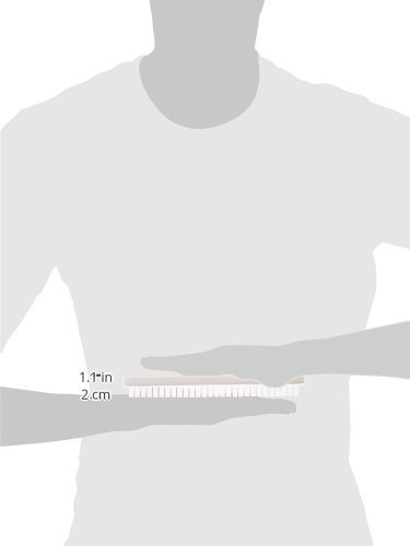 Thermo Fisher Owl A2-28D Standard Comb for A2 & A5 Large Gel Electrophoresis Systems - 28 Teeth, 1.5mm Thickness - Perfect for DNA/RNA Separation & Protein Analysis in Laboratories