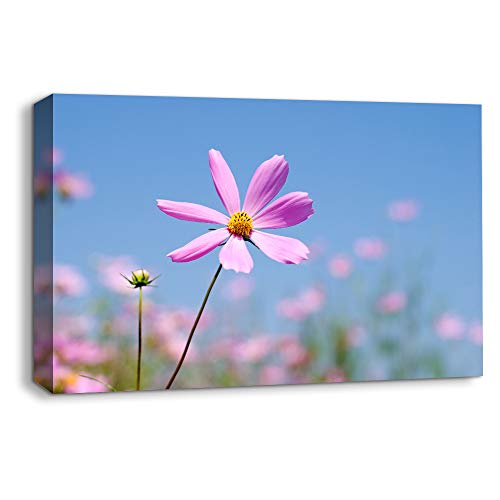 Flower-1907-m04