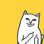 Finger Cat