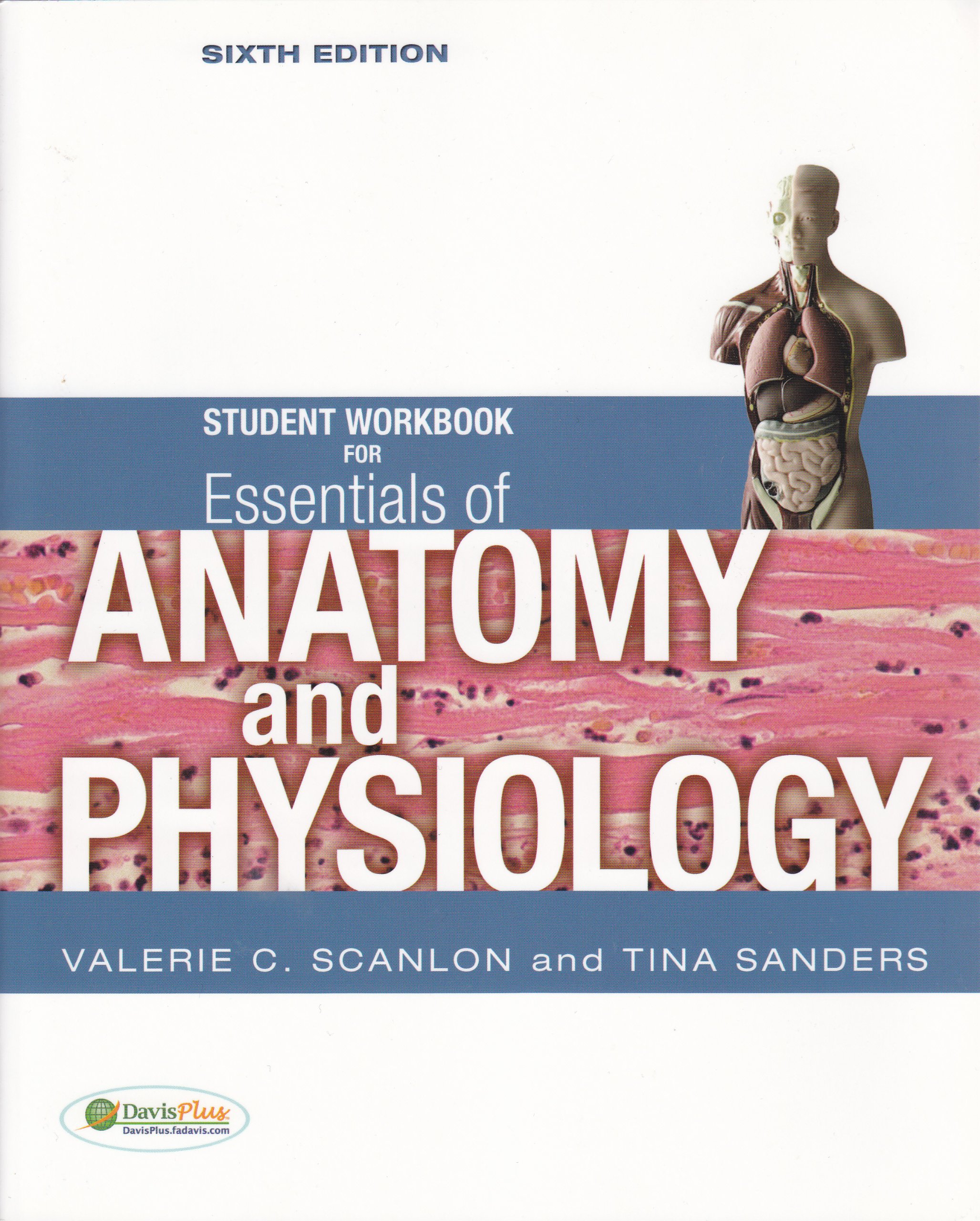 Essentials of Anatomy and Physiology Student Workbook - Comprehensive Study Guide for Medical & Nursing Students | Perfect for Classroom Learning & Exam Preparation
