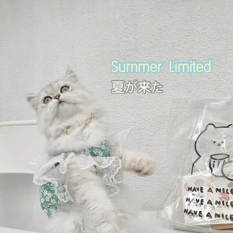 Floral Lace Summer Dress for Dogs - Fairy Style Pet Clothing | Perfect for Outdoor Adventures & Photo Shoots